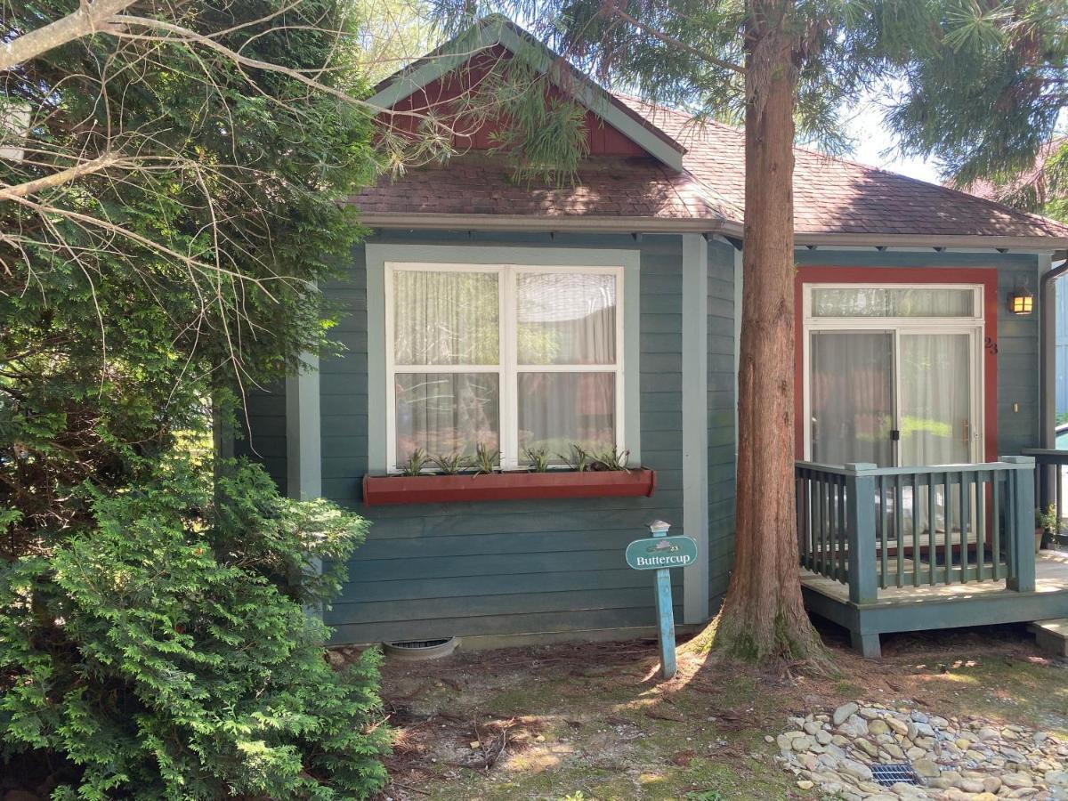 Buttercup Cottage Ашвил Екстериор снимка