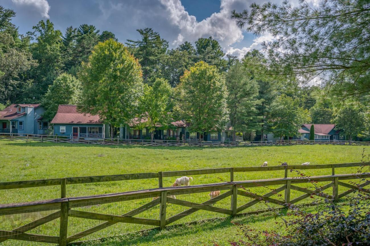 Buttercup Cottage Ашвил Екстериор снимка