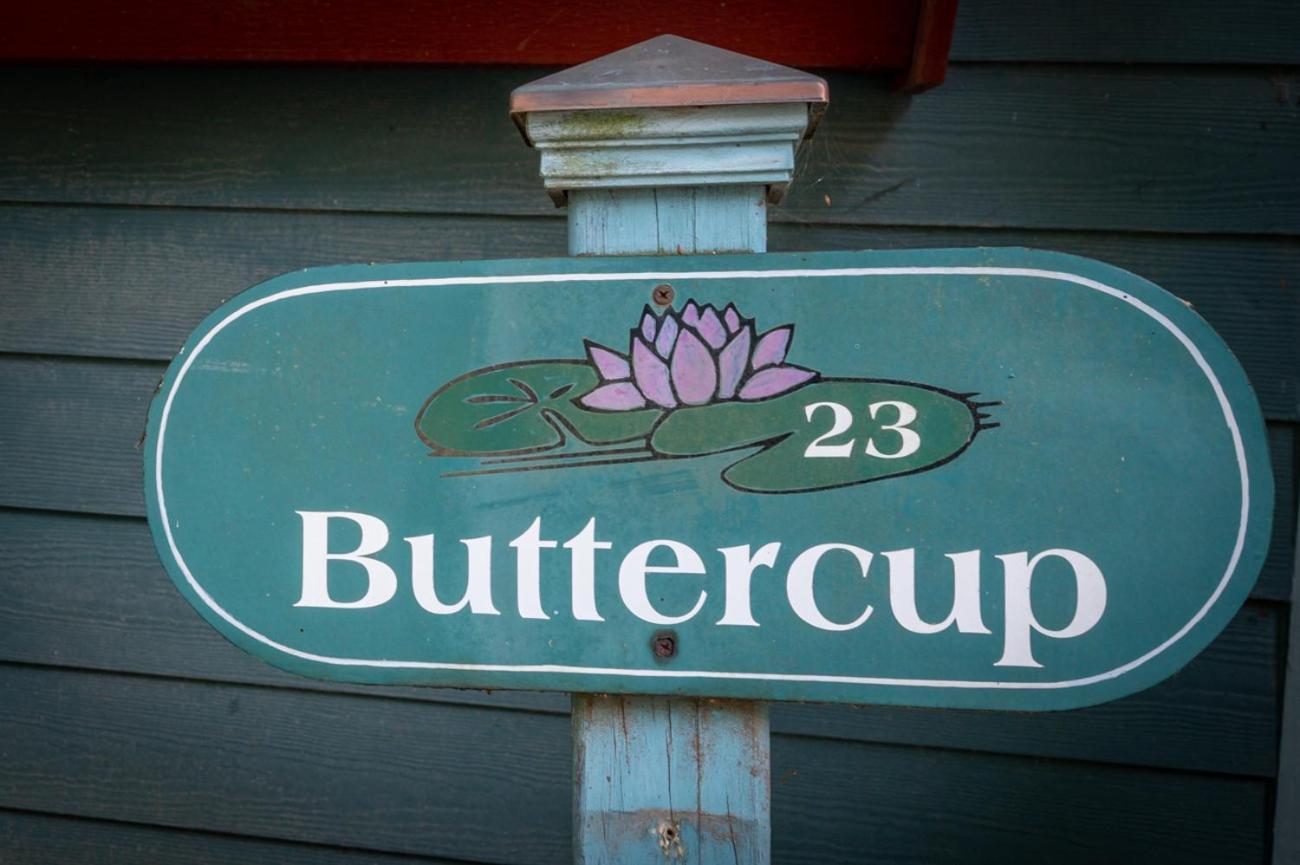 Buttercup Cottage Ашвил Екстериор снимка