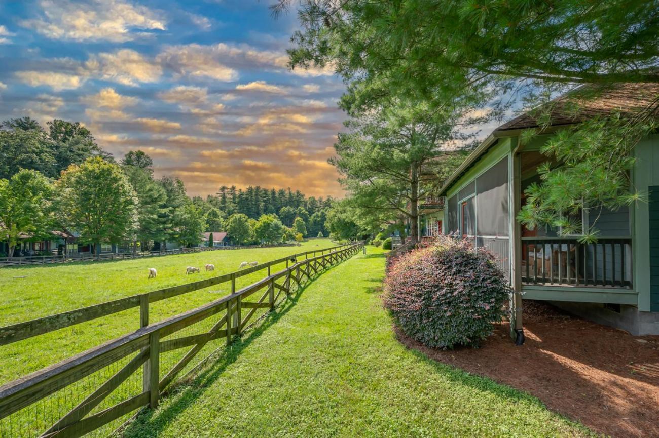 Buttercup Cottage Ашвил Екстериор снимка